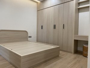 cho thuê căn hộ 2pn 66m2 cc moonlight 1 an lạc full nội thất