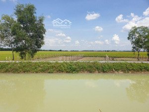 đất vườn củ chi đất vườn mt kênh n25, giá 1,9 tỷ/1115m2
