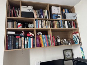 cho thuê căn 1n1vs, tại ecodream, ngõ 300 nguyễn xiển