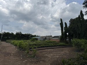 cho thuê gấp lô đất trống diện tích lớn 4.000m² tại ấp 4, xã sông trầu, huyện trảng bom, đồng nai