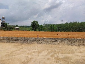 bán đất đồng tâm bình phước giá chỉ 150 triệu, shr