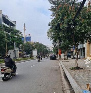 cần bán nhà 1 mặt phố, 1 mặt ngõ, vỉa hè rộng, kd tốt, phố hoàng quốc việt, dt 80m2 x 3 tầng, mt 5m