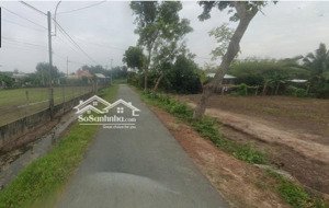 cần bán gấp lô đất 172m2 thổ cư, thái mỹ - giá sốc - sổ hồng riêng