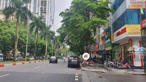 bán liền kề nguyễn khuyến - văn quán, gần hồ, 74m2x5t nhỉnh 15 tỷ, kinh doanh tấp nập ngày đêm