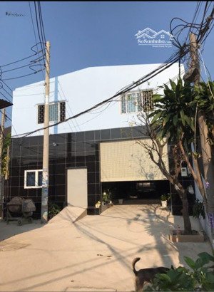 bán gấp 500 m2 kho xưởng full thổ cư trần đại nghĩa bình chánh ,shr , lh : 