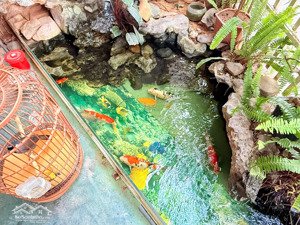 siêu hiếm phân lô, lk vườn đào, nhật tân, tây hồ. lô góc 3 mặt tiền gara, thang máy dt 110m2. lotte