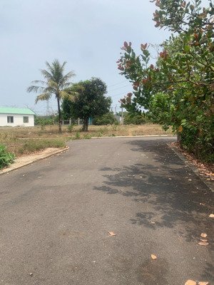 mua đất phụ cận sân bay tài sản sinh lời cực tốt