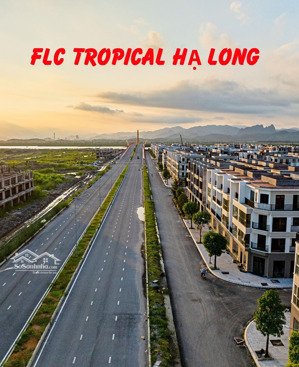 trục đại lộ 56m. giá sốc 28tr/m2 tại flc tropical hạ long - cầu bình minh. lh 