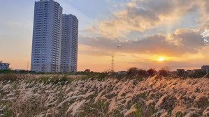 cho thuê căn hộ ct number one, vân canh giá 7 triệu. liên hệ: 