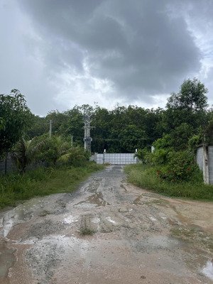 chính chủ cần bán . đất diện tích 3186 , có kho 500 m2 , nhà. vẫn phòng bếp 100 m2 .