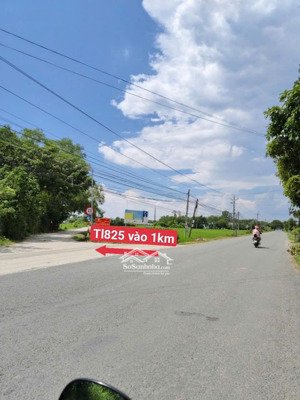 124m2, thổ 100%, sổ riêng, đức hòa, long an, đầu tư giá đẹp