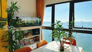 siêu hót: bán căn 2 phòng ngủ, view trực diện biển gold coast. giá 16,5 tỷ