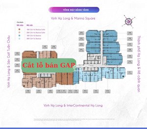 em tuyên cư dân alacarte được anh hàng xóm nhờ cắt lỗ ra hàng gấp căn a2504 đúng 2.850 tỷ