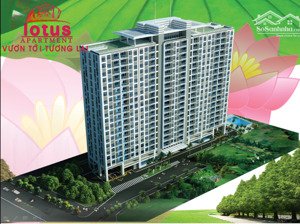 cho thuê gấp chcc hoa sen , dt 64m2 , 2pn 2wc , nội thất cơ bản , giá 11tr/th q.11