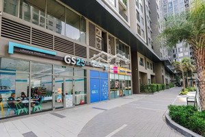 shophouse the gió sở hữu lâu dài - thanh toán 1.3 tỷ đến nhận nhà