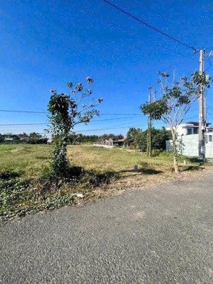 bán 4 lô đất thổ cư mặt tiền đường lê thị trâm, xã nhơn thạnh trung, tp tân an _ dt : 5 x 30m².