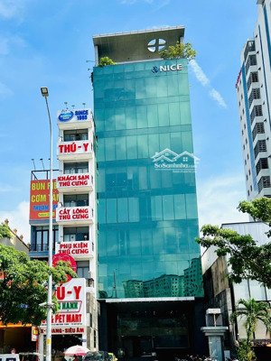 gấp! nhà mặt tiền khu sân bay - trường sơn - dt 10x25m, hầm + 7 tầng, hđt 200 tr/th - giá 40 tỷ