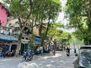 bán nhà mp lê trực ba đình dt 61mx 5t x mt 5m giá 41 tỷ có thương lượng