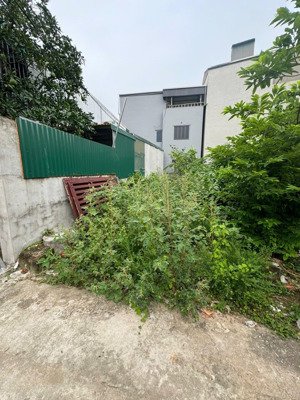 bán đất tại xã đại áng, thanh trì, hà nội, 4,45 tỷ, 63 m2, giá ưu đãi