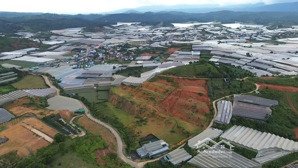 hạ giá 20 tỷ, hàng hiếm 2,6ha giá 100 tỷ thị trấn lạc dương, đà lạt, lâm đồng