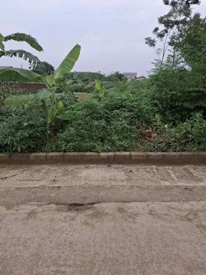 156m đất full thổ thạch thất-hà nội, chỉ hơn 30 triệu/m2.