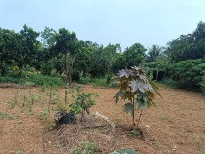 bán đất vân hoà -ba vì. lô đất 1650m mặt tiền hơn 20m .giá yêu thương. 