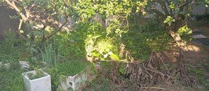 siêu hót-đất trung tâm bắc từ liêm 48m2-giá 4,7 tỷ-quận uỷ-2 thoáng- sổ đất vuông đẹp- koquyhoạch