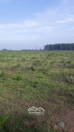 bán 31,000m2 (3 mẫu 1) quy hoạch đất skc (3 mặt tiền)khu vực xã hố nai 3 sát bên kcn sông mây