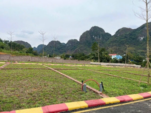 bán đất tại thị trấn ba hàng đồi, lạc thủy, hòa bình, 10 triệu / m2, 60 m2