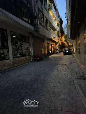 phân lô, ô tô tránh kinh doanh hoàng ngân 100m2 4 tầng mt 7m 31.8 tỷ