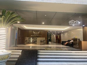 sở hữu ngay căn hộ view phố ngay trung tâm thành phố nha trang tại 60 trần phú chỉ 1 tỷ 750