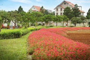 bán bt đẹp xuất sắc tại the phoenix garden, 79 triệu/m2, 200m2