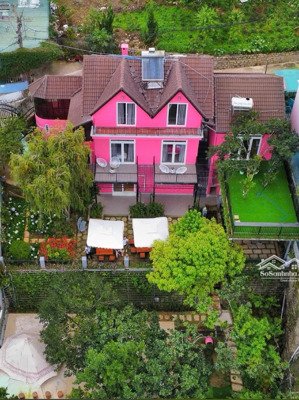 bán villa sân vườn đà lạt siu rộng view thông cực đẹp tại hoàng hoa thám đà lạt