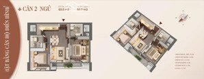 mở bán giai đoạn 2 hoàng huy commerce mặt đường võ nguyên giáp đối diện aeon mall - rose residence