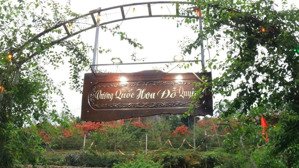 tìm chủ mơi cho vương quốc hoa đỗ quyên tam đảo