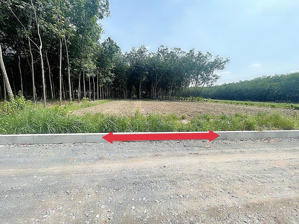 cần bán lô đất đối diện khu dân cư kim oanh, dt 5x45 tc 60m, giá 1ty350 triệu thương lượng