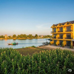 đất cẩm châu, hội an, quảng nam, giá thỏa thuận, 3000m2 view sông full tmdv