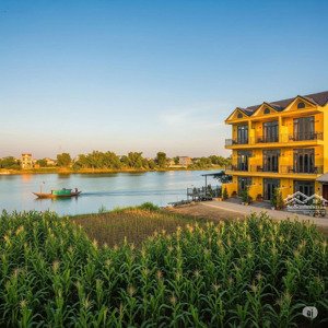 bán đất cẩm an, giá thỏa thuận, 10000 m2, hội an, quảng nam view sông full tmdv