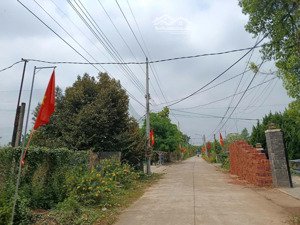 cần bán lô đất thổ cư đường vào đối diện ubnd, 252,5m2, sổ sẵn, gọi số 