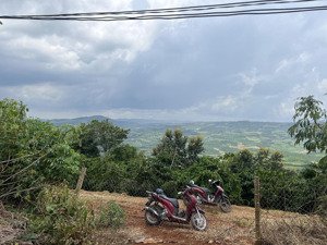 bán vườn sầu riêng view săn mây giá chỉ 760 triệu, diện tích lên tới 1000m2