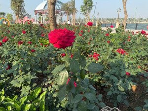 duy nhất! bán căn biệt thự đơn lập kim cương mặt hồ 32ha vinhomes cổ loa-pk tinh hoa.lh 