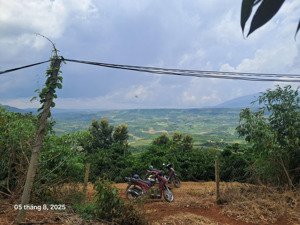 bán 1000m² 80m2 ont vườn sầu riêng tại đan phượng, lâm hà, lâm đồng, view đồi núi