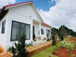 bán homstay nghỉ dưỡng 301m² 127m2 ont sổ riêng 1 tỷ 5 full nội thất tại tân hà, lâm hà