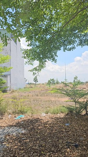 chính chủ bán lô 1,5x tỷ, 80m2 (5x16), shr, sát bình chánh, trong kcn dân cư đông.