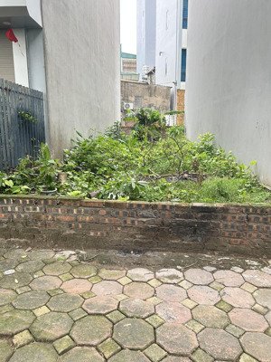 bán đất phân lô nguyễn thời trung long biên 84m2, vỉa hè rộng oto đỗ, view vườn hoa, giá 15.5 tỷ