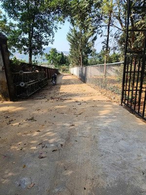 siêu phẩm view hồ đất nghỉ dưỡng cực đẹp, xung quanh toàn biệt thự