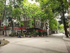 biệt thự vip hà đông-125m2/4t-lô góc 2 mặt ô tô tránh đỗ-vỉ hè đá bóng-kinh doanh đẳng cấp.giá:33tỷ