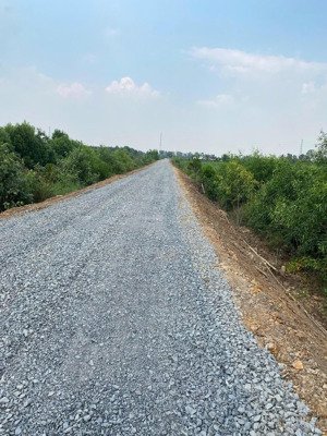 bán gấp 2 lô đất vườn 1000m², sổ riêng, ấp 3 tân thành, thủ thừa long an