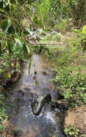 bán lô đất vườn mơ xã xuân trường thành phố đà lạt