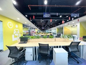 chính chủ cho thuê văn phòng n05 hoàng đạo thúy 100m2 - 200 - 800m2 bàn giao đầy đủ vào được luôn